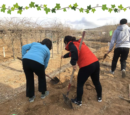 20190311722734.png image.png