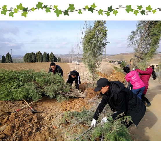 20190311767287.png image.png