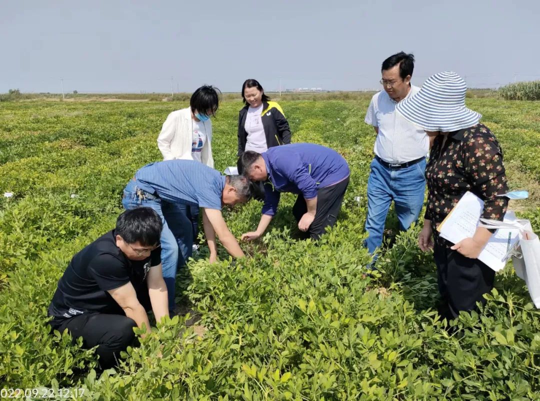 微信图片_20221007102717 微信图片_20221007102717.jpg