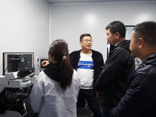 P1010137_副本 P1010137_副本.jpg