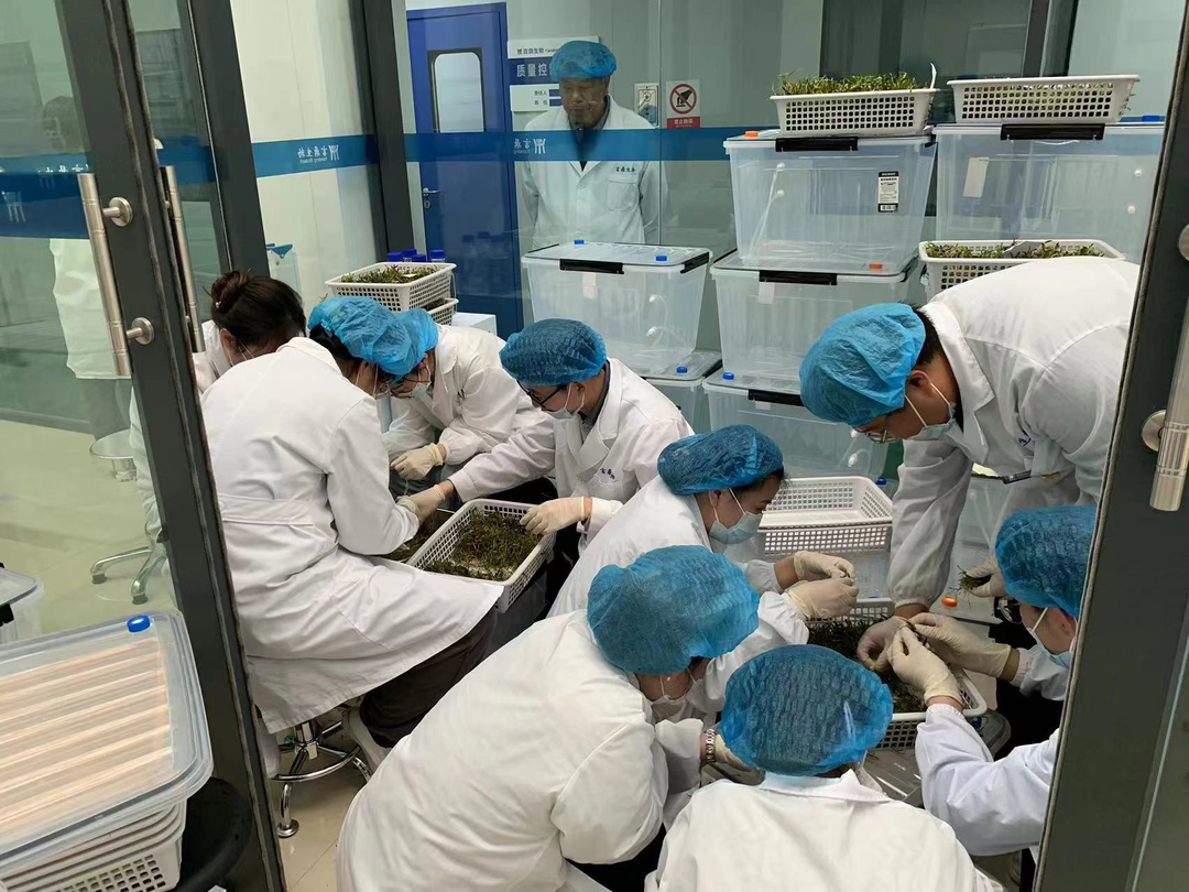 微信图片_20240628163302 微信图片_20240628163302.png