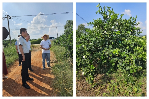 微信图片_20240903091026_副本 微信图片_20240903091026_副本.jpg