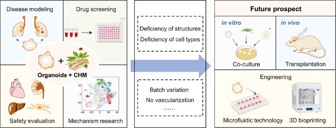 61ce4c3b25b247b7a52e27a2ebb3bdac 61ce4c3b25b247b7a52e27a2ebb3bdac.jpeg