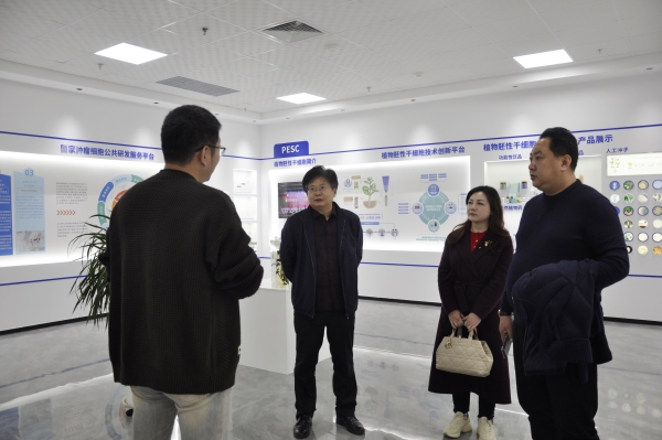 _DSC0047_副本 _DSC0047_副本.jpg