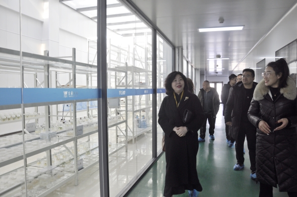 _DSC0016_副本 _DSC0016_副本.jpg