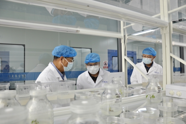 _DSC0007_副本 _DSC0007_副本.jpg