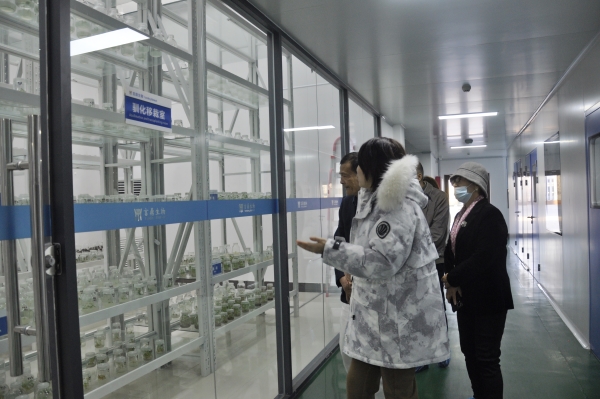 _DSC0016_副本 _DSC0016_副本.jpg