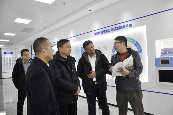 _DSC0009_副本 _DSC0009_副本.jpg