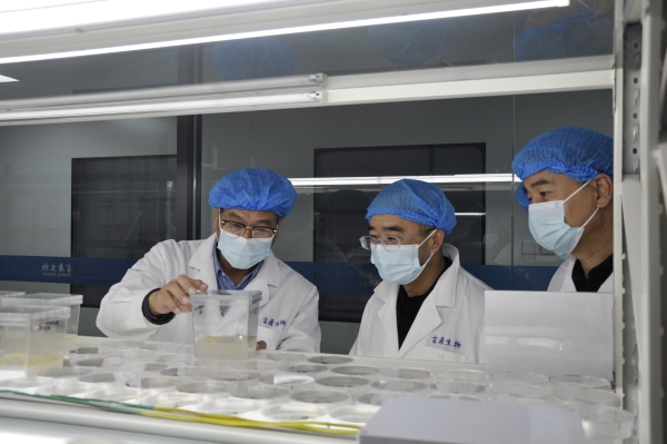 _DSC0027_副本 _DSC0027_副本.jpg