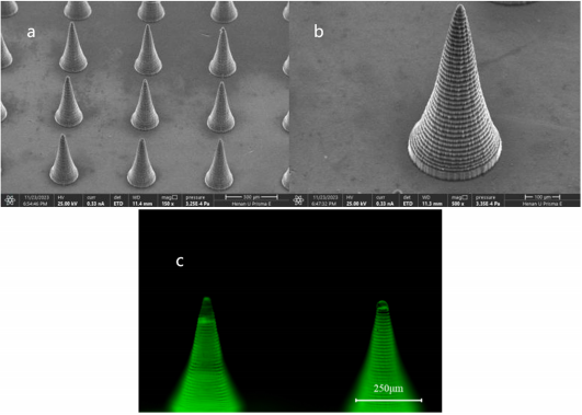 微信图片_20241203093106 微信图片_20241203093106.png