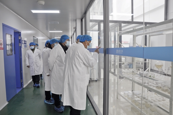 _DSC0036_副本 _DSC0036_副本.jpg