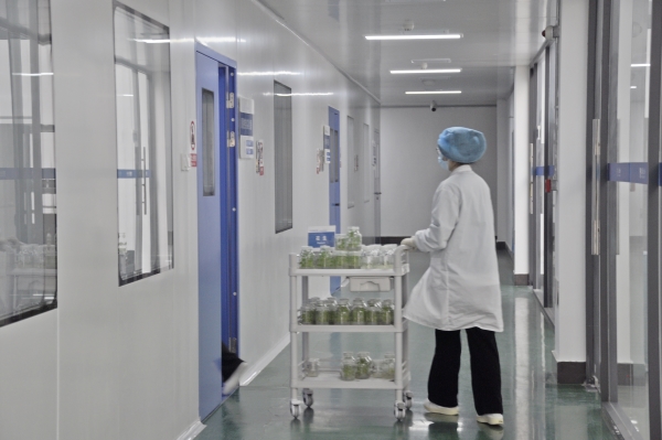 _DSC0043_副本 _DSC0043_副本.jpg