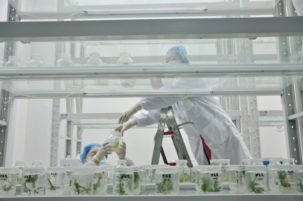 _DSC0042_副本 _DSC0042_副本.jpg