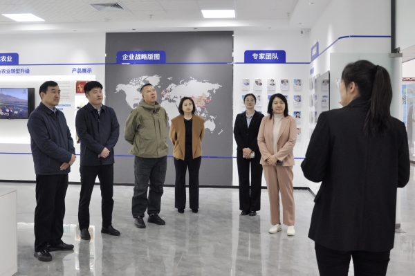 _DSC0001_副本 _DSC0001_副本.jpg