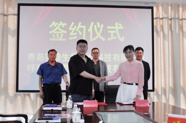 微信图片_20250603152933 微信图片_20250603152933.jpg