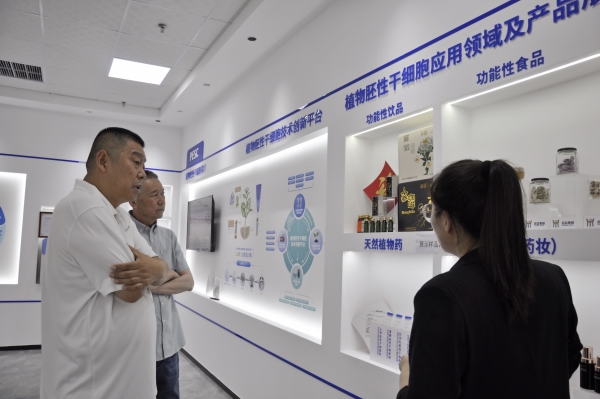 _DSC0006_副本 _DSC0006_副本.jpg