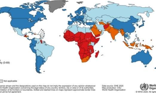 ȫ1000ٰ֢ΪȫͷŰ֢