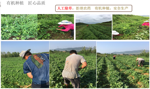 ɽk1ȪũҵƼ޹˾ٻɽʡִũҵƼʾ