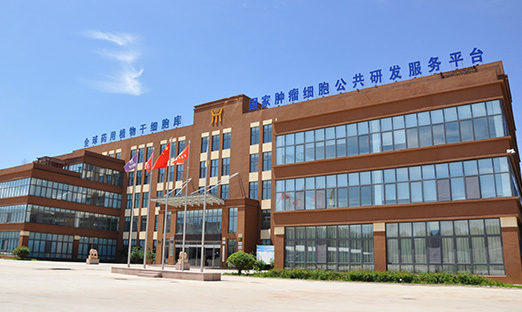 k1Ѷ|£Ӯδk1鹲ͬδƪ