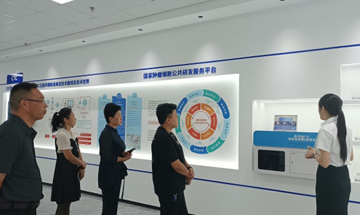 й걣Э볿ȻЯk1ţı꽡ƪ